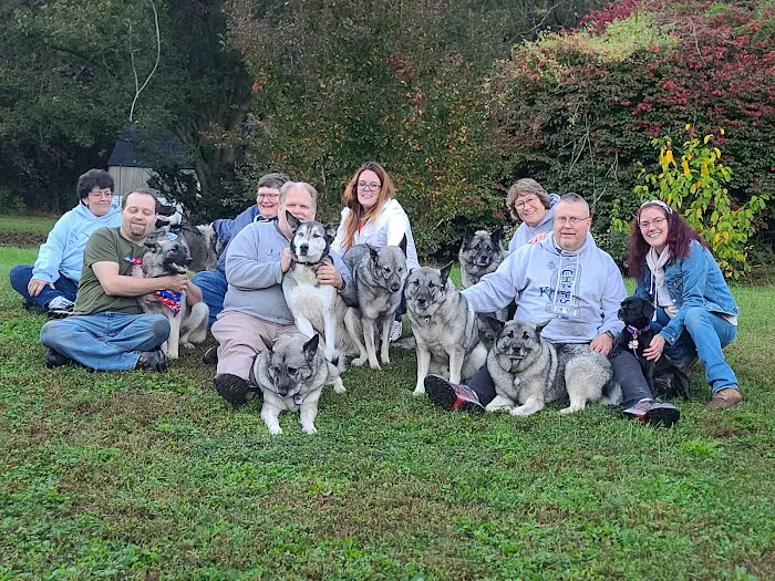Barkby Plungers 5