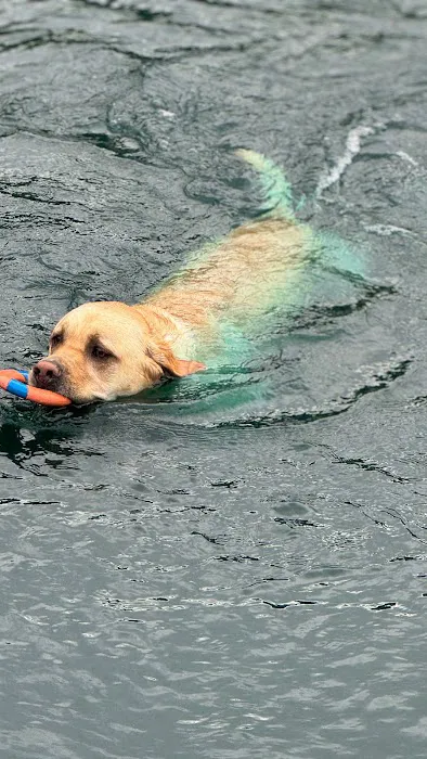 Barkby Plungers 9