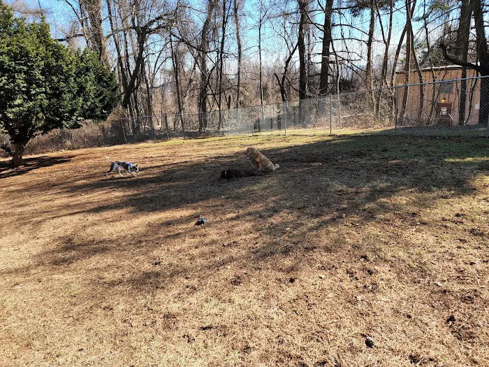 K9 Cody Dog Park 3