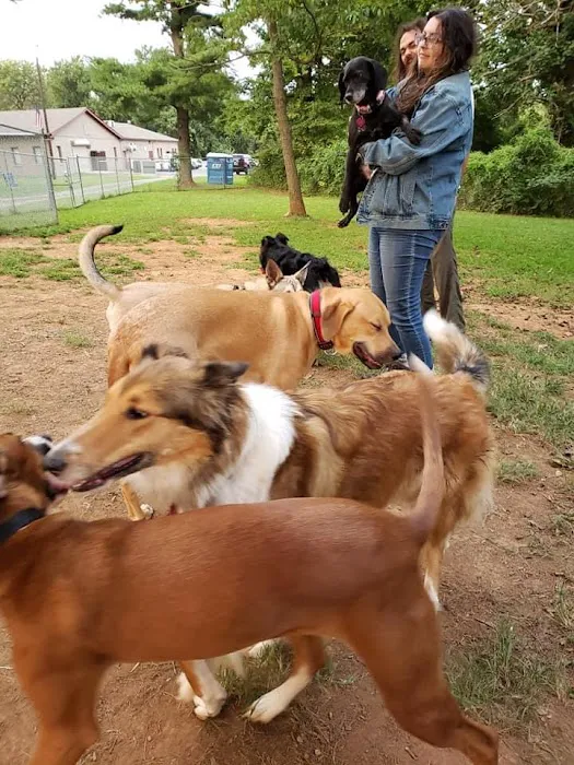 K9 Cody Dog Park 2