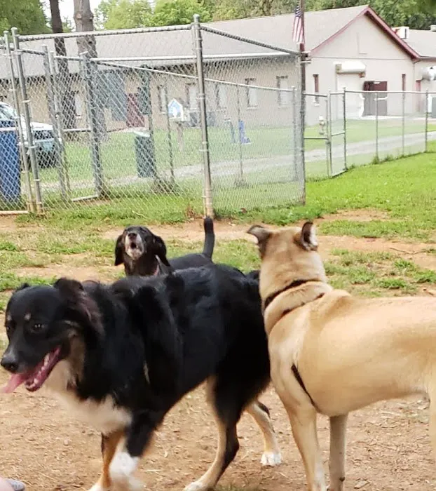 K9 Cody Dog Park 6