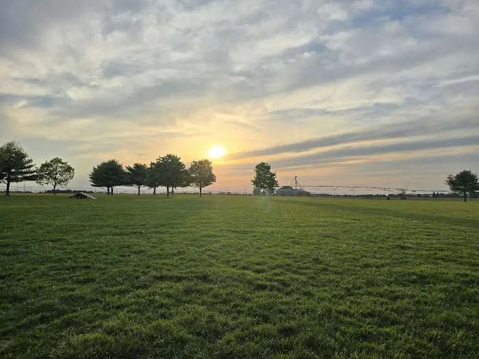 Charles E. Price Memorial Park Dog Park 2
