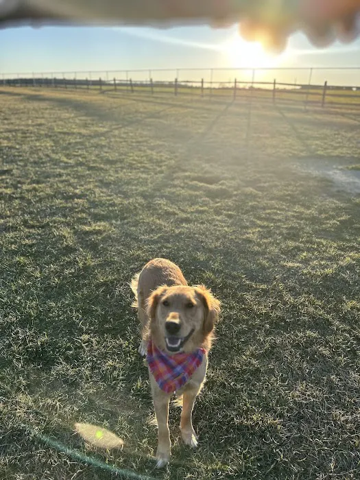 Charles E. Price Memorial Park Dog Park 3