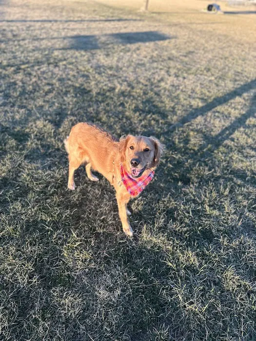 Charles E. Price Memorial Park Dog Park 8
