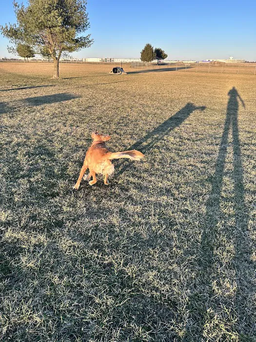 Charles E. Price Memorial Park Dog Park 6