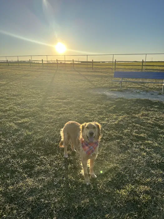 Charles E. Price Memorial Park Dog Park 9