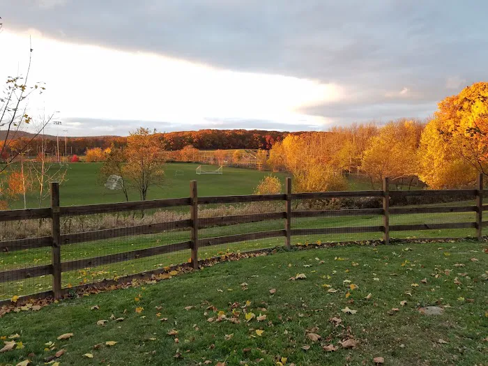 Abington Dog Park 9