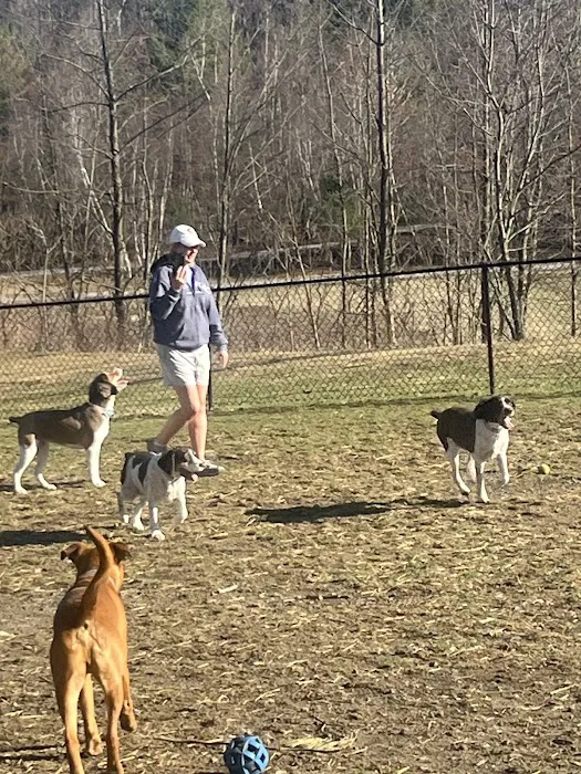 Kulpmont Dog Park 3