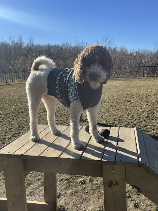 Kulpmont Dog Park 6