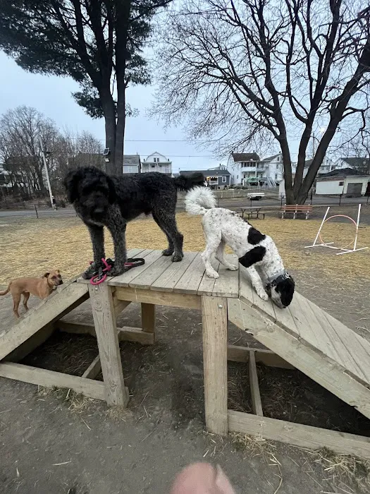 Kulpmont Dog Park 10