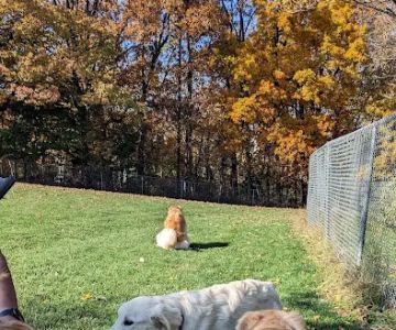 Happy Trails Dog Park