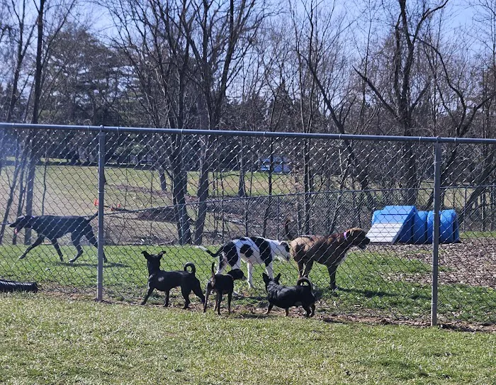 Happy Trails Dog Park 5