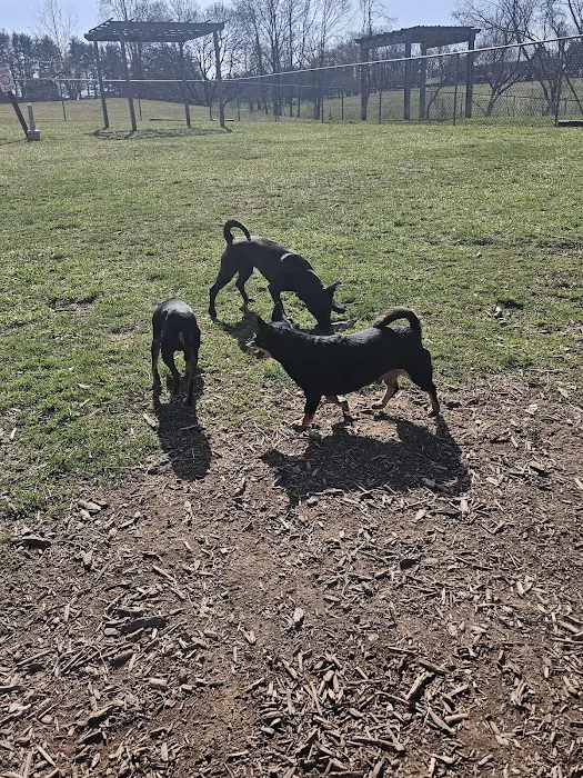 Happy Trails Dog Park 9