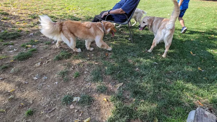 Happy Trails Dog Park 8