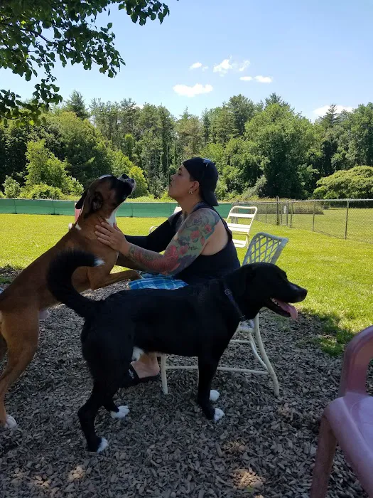 French Dog Park 6