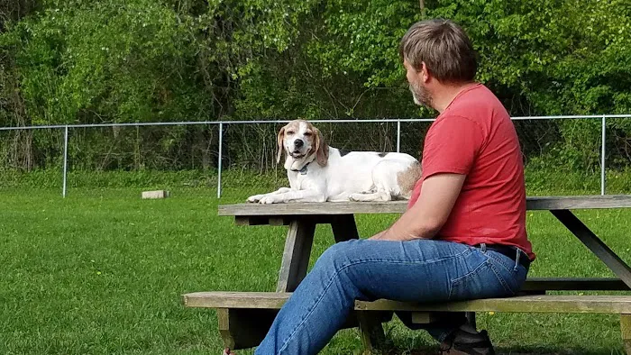 French Dog Park 8