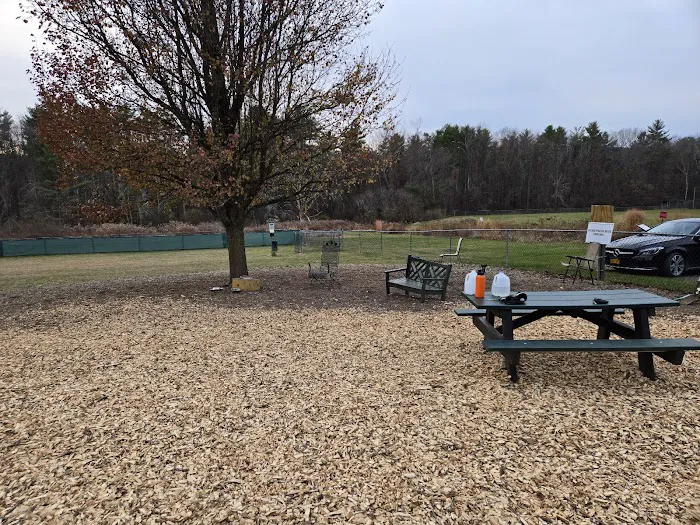 French Dog Park 7