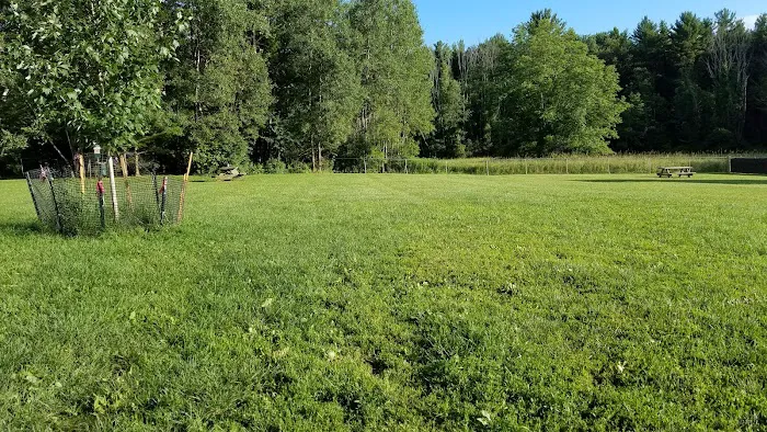 French Dog Park 5