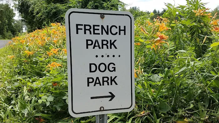 French Dog Park 9