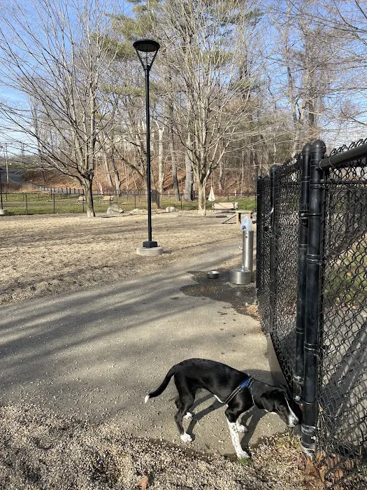 Paws Park 4