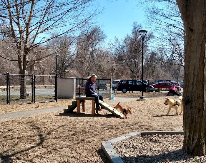 Paws Park 8