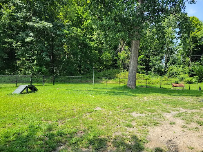 Paws Park 7