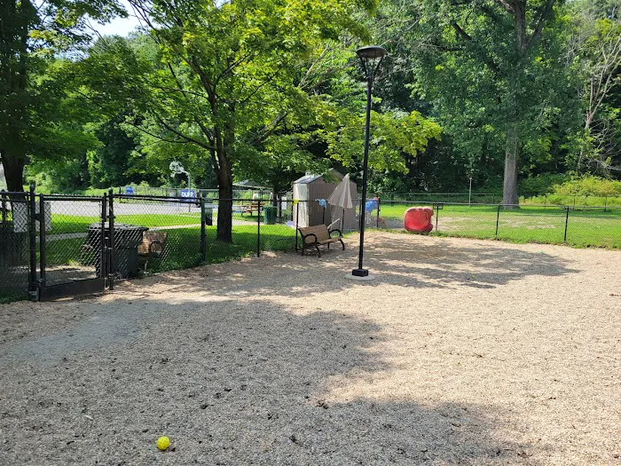 Paws Park 10