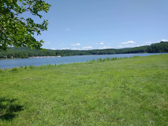 Dog Play Field 6