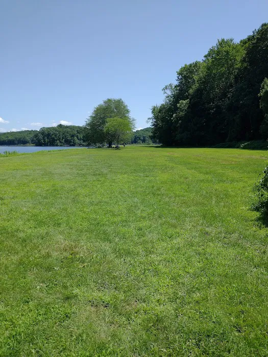 Dog Play Field 7