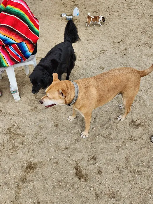 North Quabbin Dog Park 2