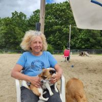 North Quabbin Dog Park ico