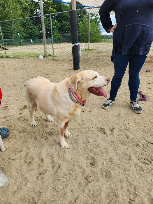 North Quabbin Dog Park 10