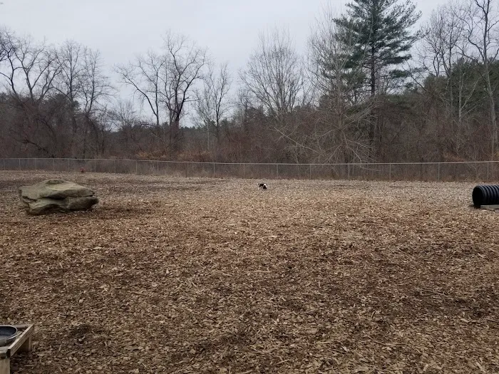 Phaiah's Dog Park 4