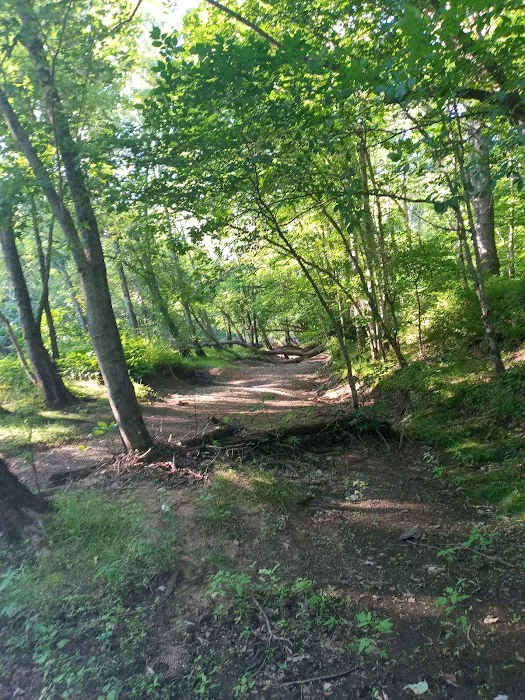 Phaiah's Dog Park 8