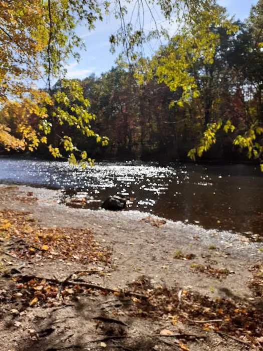 Phaiah's Dog Park 6