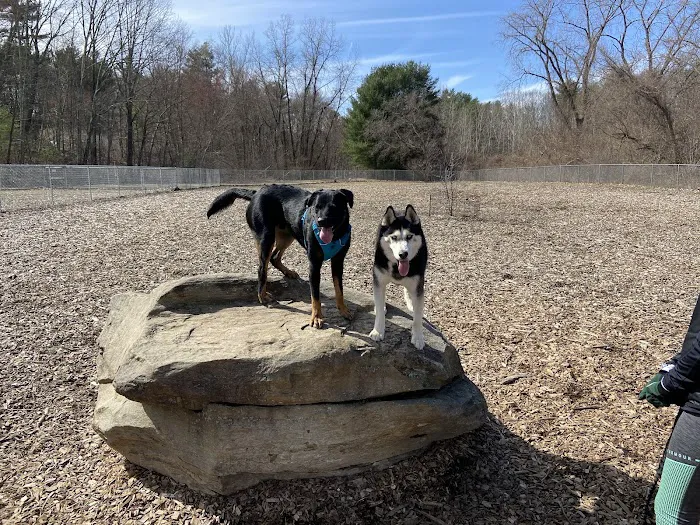 Phaiah's Dog Park 10