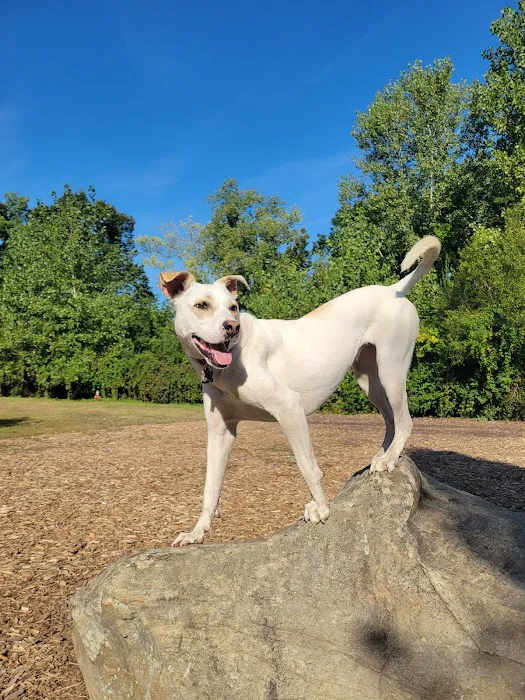 Phaiah's Dog Park 9