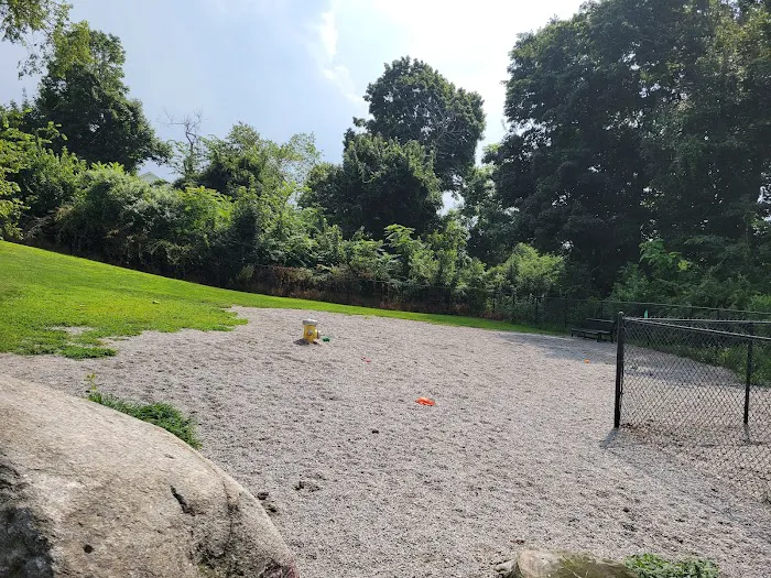 Webster Dog Park 4