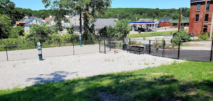 Webster Dog Park 1