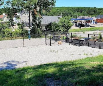 Webster Dog Park