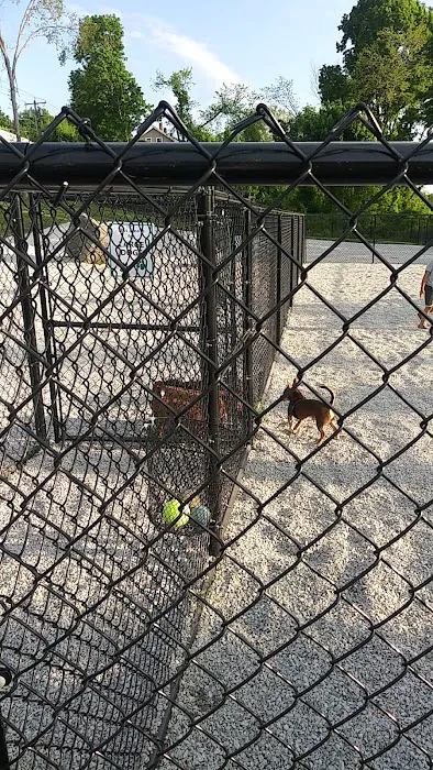 Webster Dog Park 5