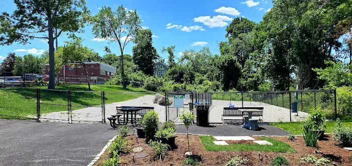 Webster Dog Park 10