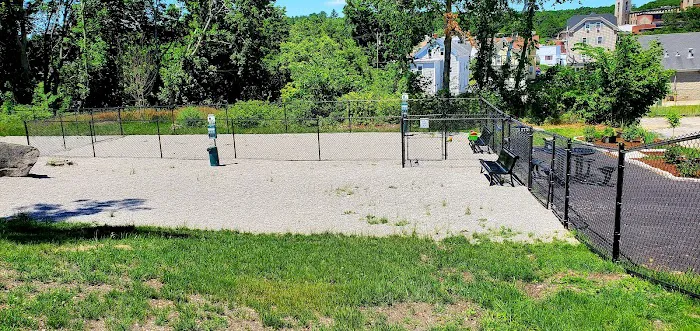 Webster Dog Park 6