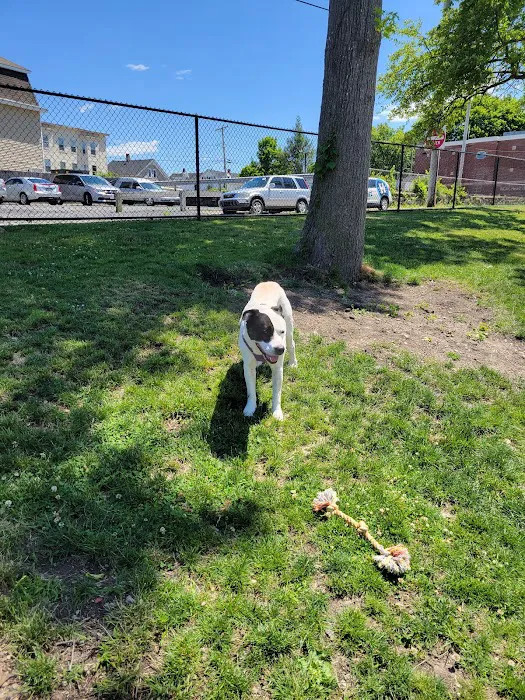 Webster Dog Park 9