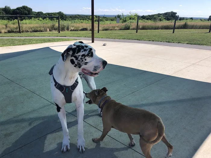 Uxbridge Dog Park 7