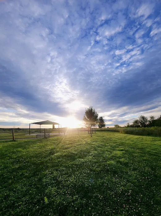Uxbridge Dog Park 3