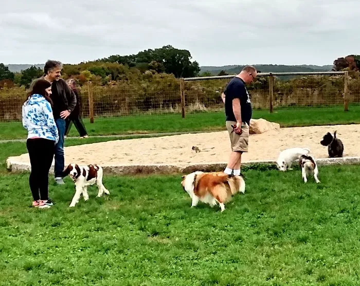 Uxbridge Dog Park 2