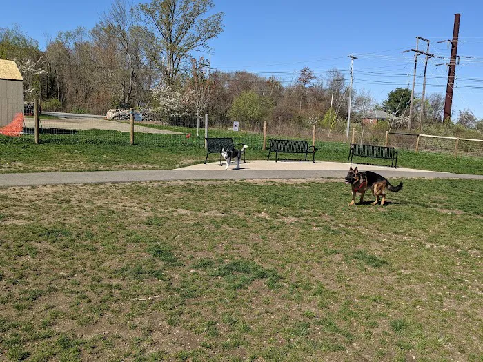 Uxbridge Dog Park 10