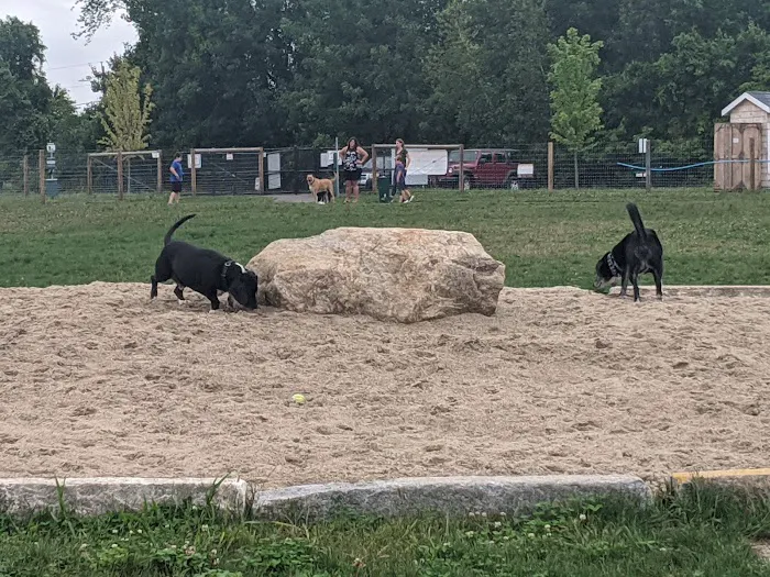 Uxbridge Dog Park 6