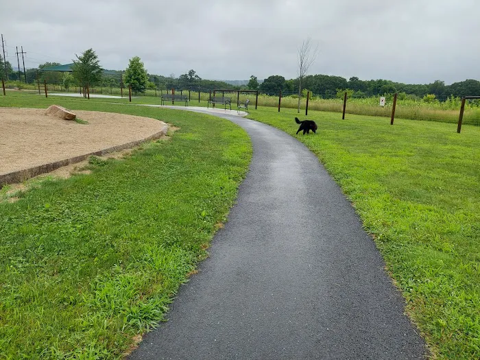Uxbridge Dog Park 4